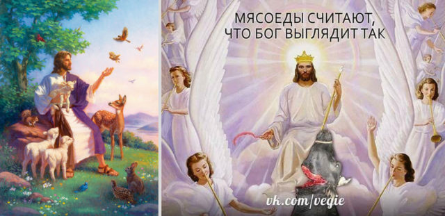 Иисус убийца животных или Веган защитник евангелие новый завет библия 1