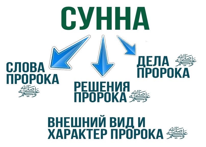 Сунна