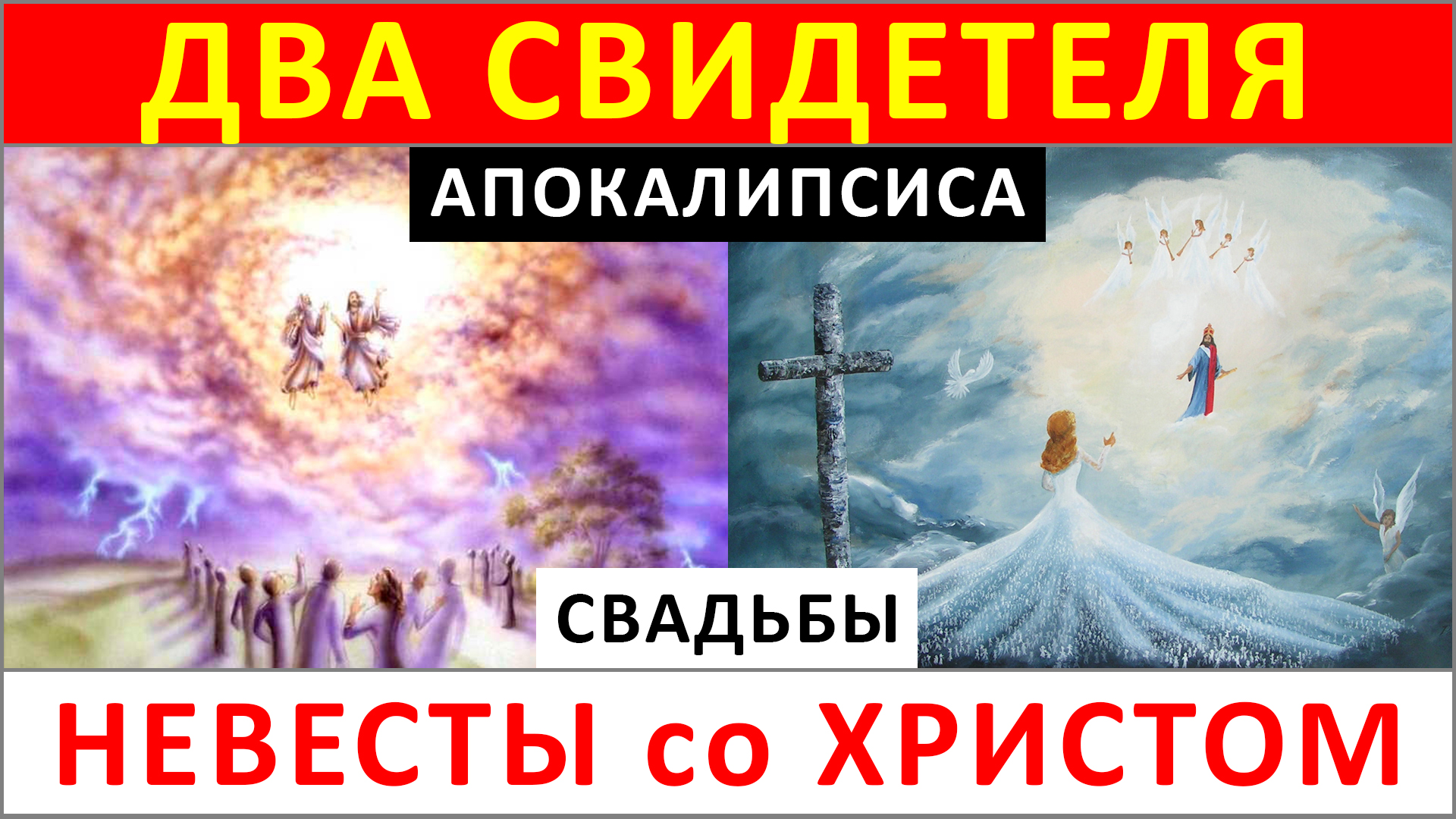 88.2. ДВА ПРОРОКА — признак восхищения церкви и второго пришествия Иисуса Христа (-.9.25) ✝️#ХРИСТОЛЮБ 💚#ВЕГАН ☮️#ПАЦИФИСТ 🌎#КОСМОПОЛИТ